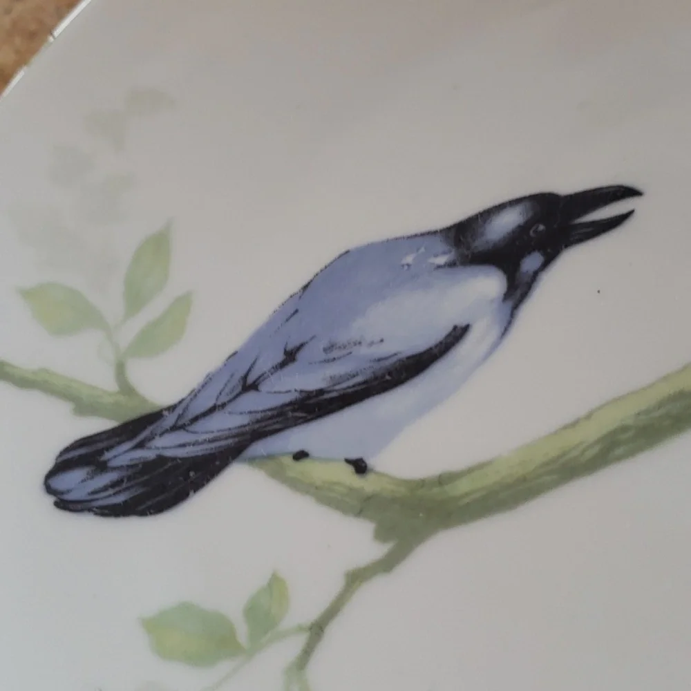 MZ Moritz Zdekauer Austria Blue Black Birds 8.5